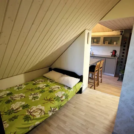 Ingrid Apartament Parnawa